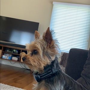 Meet your Posher, Jack